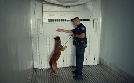 Border Force USA | TV-Programm von N24 Doku