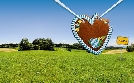 Dahoam is Dahoam | TV-Programm von BR