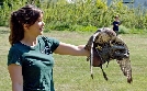 Anna und die Haustiere | TV-Programm von BR