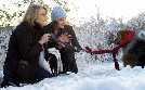 Darling Companion - Ein Hund fürs Leben | TV-Programm von SWR