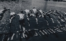 Triathlon: T100 Triathlon World Tour in Wollongong | TV-Programm von Eurosport