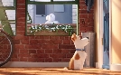Pets | TV-Programm von SAT.1