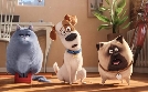 Pets | TV-Programm von SAT.1