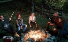 Bull | TV-Programm von Kabel 1