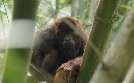 natur exclusiv | TV-Programm von BR