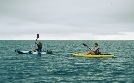 The Reef: Stalked | TV-Programm von Tele 5