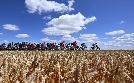 Radsport: Tour De France der Frauen | TV-Programm von Eurosport