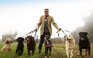 Hunde außer Kontrolle - Ein Coach für alle Felle | TV-Programm von SAT.1 Gold