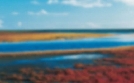 Schleswig-Holstein Magazin | TV-Programm von NDR