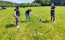 Der Hundeprofi - Rütters Team | TV-Programm von VOX