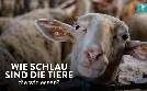 42 - Die Antwort auf fast alles | TV-Programm von arte