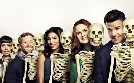 Bones - Die Knochenjägerin | TV-Programm von VOX