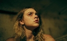 Flycatcher - Survival Has Its Price | TV-Programm von Tele 5