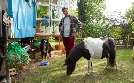 Löwenzahn | TV-Programm von ZDF
