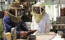 CSI: Den Tätern auf der Spur | TV-Programm von VOX