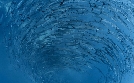 Into the Blue – Indonesiens Unterwasserparadiese | TV-Programm von phoenix