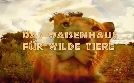 Das Waisenhaus für wilde Tiere | TV-Programm von ANIXE HD