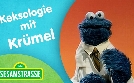 Sesamstraße | TV-Programm von NDR
