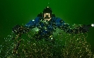 Terra X | TV-Programm von 3sat