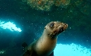 A Year on Planet Earth | TV-Programm von SWR