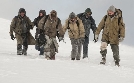 The Grey - Unter Wölfen | TV-Programm von Tele 5