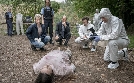 Tatort | TV-Programm von Das Erste