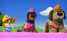 Waustelle - Alle Pfoten packen an | TV-Programm von Disney Channel