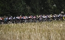 Radsport: Tour De France der Frauen | TV-Programm von Eurosport