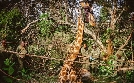 Länder - Menschen - Abenteuer | TV-Programm von NDR