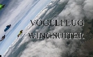 Vogelflug - Wingsuiter | TV-Programm von N24 Doku