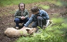 Tiere bis unters Dach | TV-Programm von Das Erste