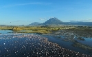 Afrikas Ikonen der Tierwelt | TV-Programm von 3sat