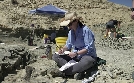 Geheimnisse der Jurassic-Saurier | TV-Programm von phoenix