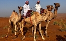 Abenteuer Oman | TV-Programm von 3sat