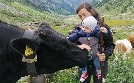 Auf uralten Pfaden: Viehtriebe im Hochgebirge | TV-Programm von 3sat