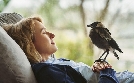 Beflügelt - Ein Vogel namens Penguin Bloom  | Mi 20.05. 12:30 mdr