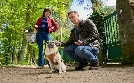 Die Heiland - Wir sind Anwalt | TV-Programm von ONE HD