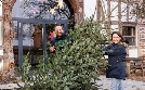 Lecker aufs Land - Es weihnachtet! | TV-Programm von SWR