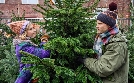 Weihnachtsüberraschungen | TV-Programm von ONE HD