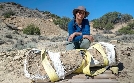 Geheimnisse der Jurassic-Saurier  | Mi 10.06. 20:15 phoenix