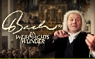 Bach - Ein Weihnachtswunder | TV-Programm von Das Erste