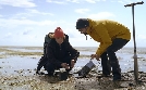 Deutschlands Naturwunder | TV-Programm von zdfinfo