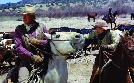 Die Cowboys | TV-Programm von arte