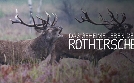 Das geheime Leben der Rothirsche | TV-Programm von arte