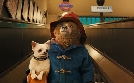 Paddington | TV-Programm von RTL SUPER