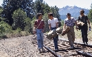 Stand by Me - Das Geheimnis eines Sommers | TV-Programm von zdf_neo