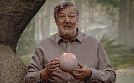 Dinosaurier: Reise in eine vergangene Welt | TV-Programm von n-tv