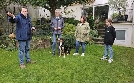 Der Hundeprofi - Rütters Team | TV-Programm von VOX