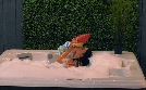 Geordie Shore | TV-Programm von MTV