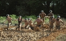 The Challenge: All Stars | TV-Programm von MTV